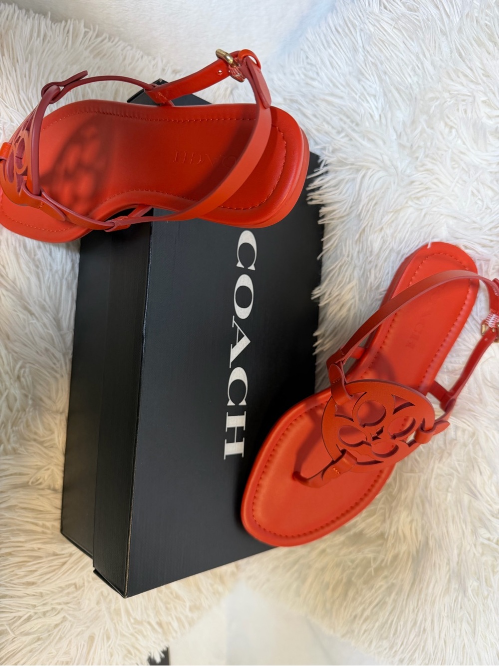 Make a vibrant statement with these gorgeous COACH "Jaci" T-Strap Sandals! - Picture 4 of 10